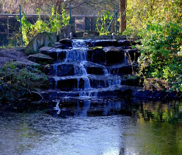 Foto: Eduard Warenik