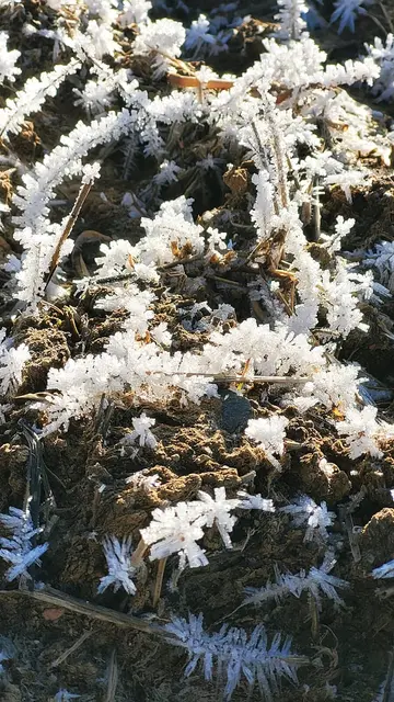 Gigantische Eiskristallformationen. | Foto: Isolde Reitz