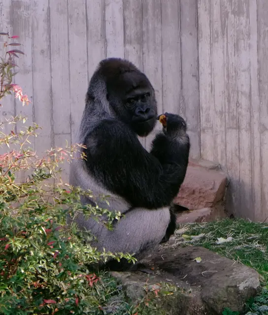 Foto: Eduard Warenik