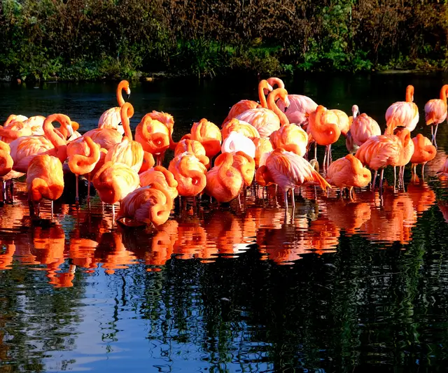 Foto: Eduard Warenik