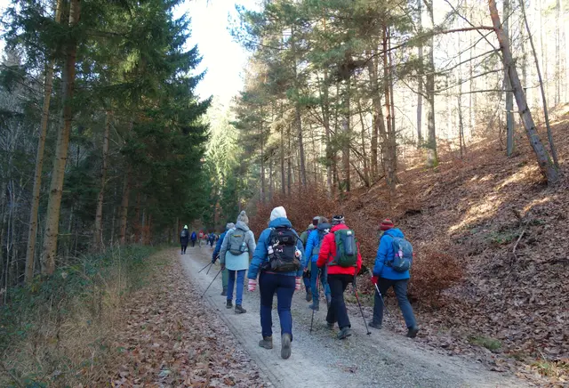 Anstieg Richtung Parkplatz Enzwiesen. | Foto: Isolde Reitz