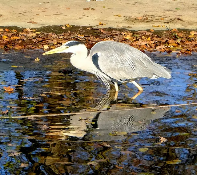 Foto: Eduard Warenik