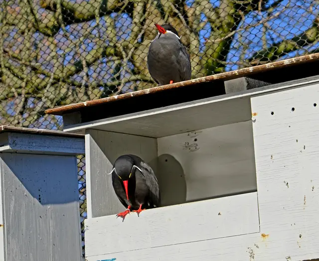 Foto: Eduard Warenik