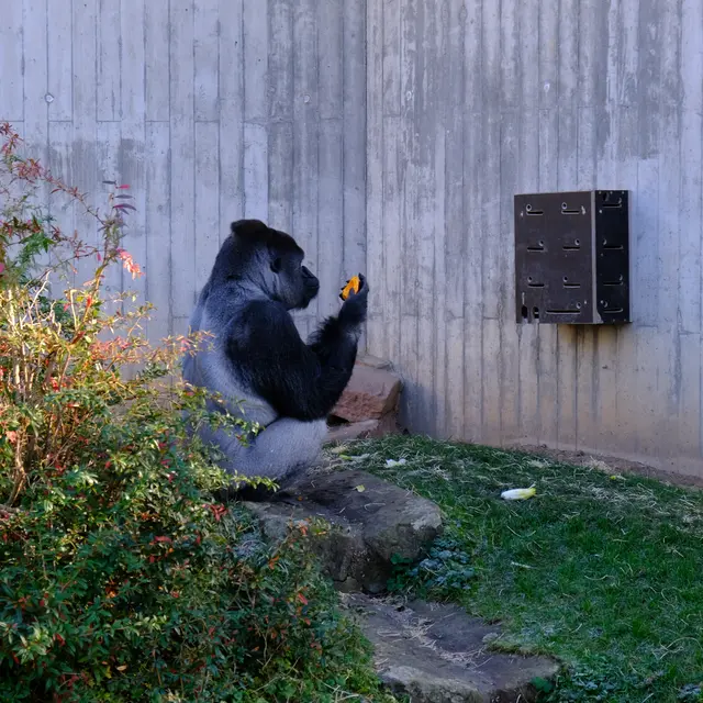 Foto: Eduard Warenik