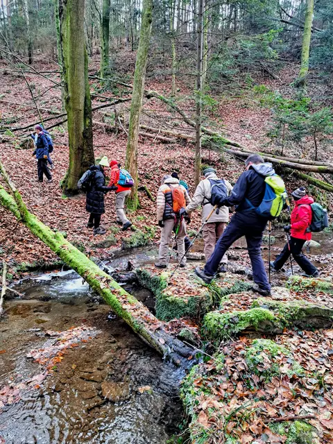 Überquerung des malerischen Bernbaches auf Trittsteine. | Foto: Isolde Reitz