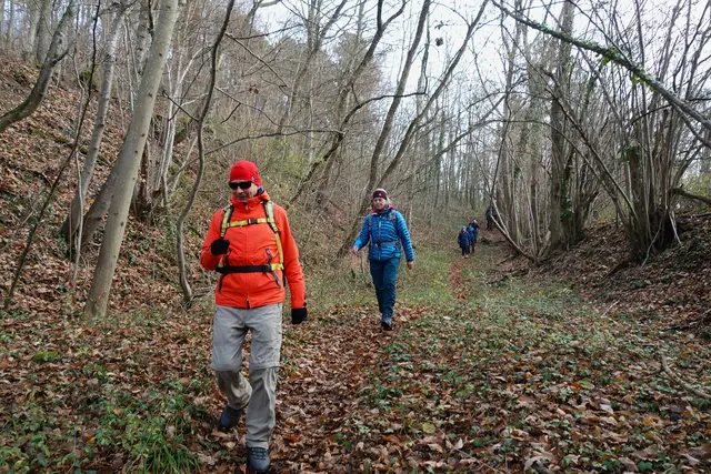 Wunderschöne, abenteuerliche Schlucht oberhalb Eichelberg | Foto: Isolde Reitz