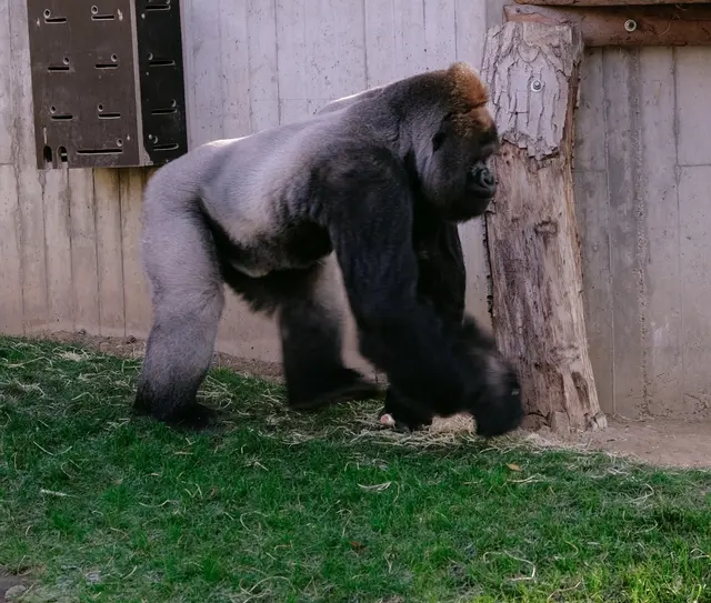 Foto: Eduard Warenik