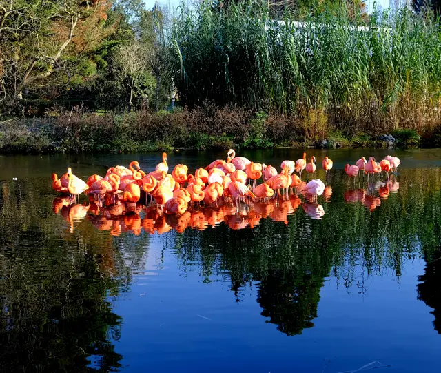 Foto: Eduard Warenik