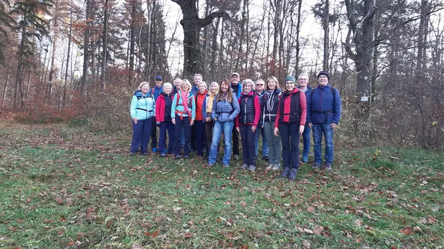 auf der Anhöhe bei Ochsenbach | Foto: Elke Funk