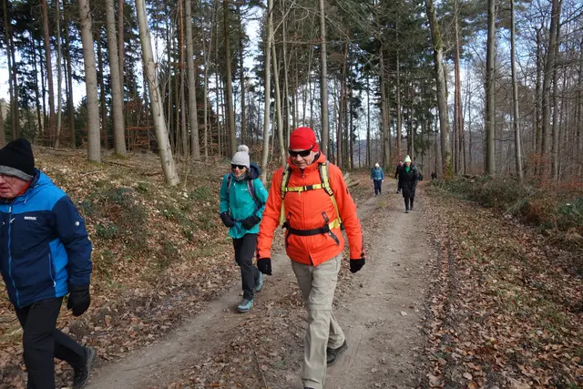 Richtung des Wüstenroter Aboretum. | Foto: Isolde Reitz