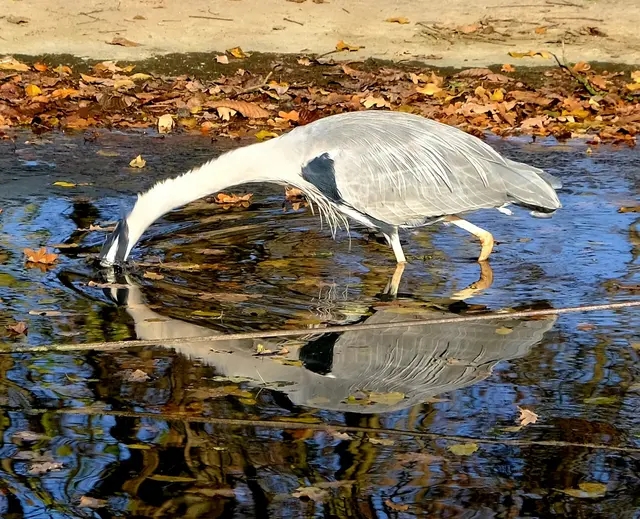 Foto: Eduard Warenik