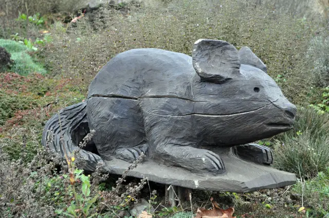 Donnbronner und Obergruppenbacher wurden Waldratten genannt. Es gab viel Wald rund um die Orte. Und die Bewohner waren in den Wintermonaten oft im Wald mit Arbeiten beschäftigt. Auch diese Waldratte steht im Kreisverkehr. | Foto: Daniela Somers