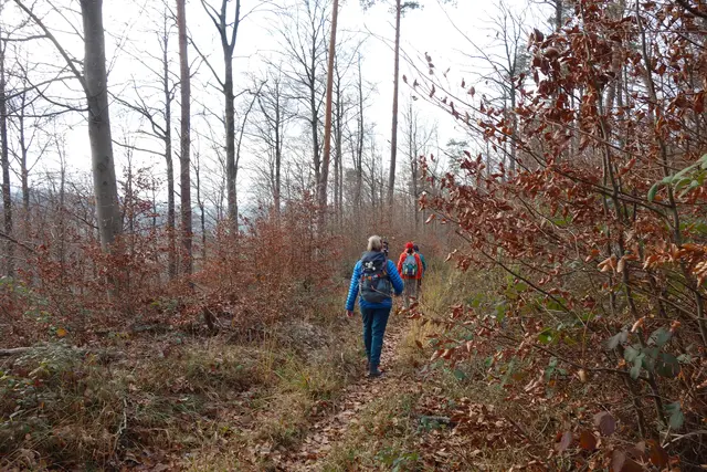 Entlang eines Höhenweges mit Blick Richtung Löwenstein. | Foto: Isolde Reitz