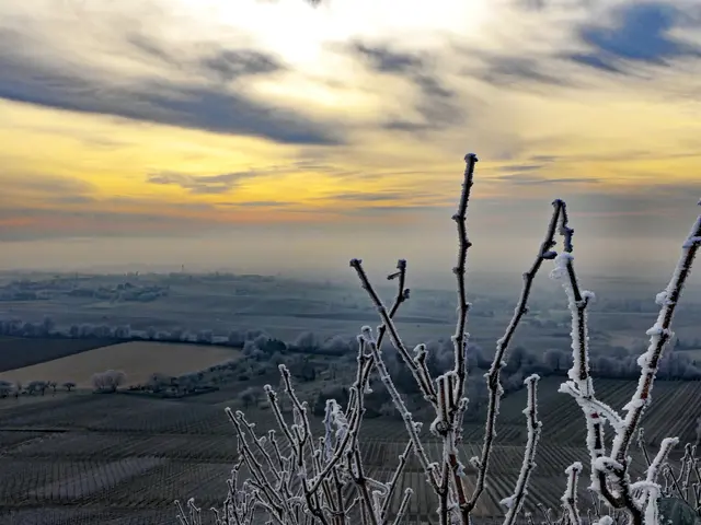 Nebel und Raureif am Heuchelberg | Foto: KHW