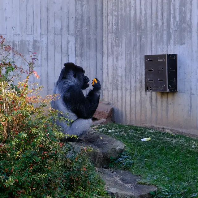 Foto: Eduard Warenik