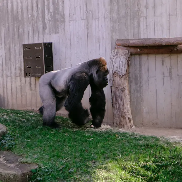 Foto: Eduard Warenik