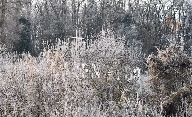 Das Wahrzeichen kaum zu sehen | Foto: G.Hölzel