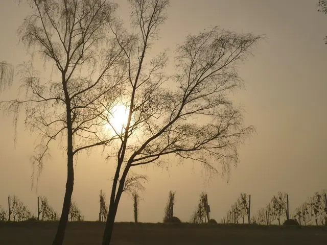 Sonnenaufgang im Nebel | Foto: KHW