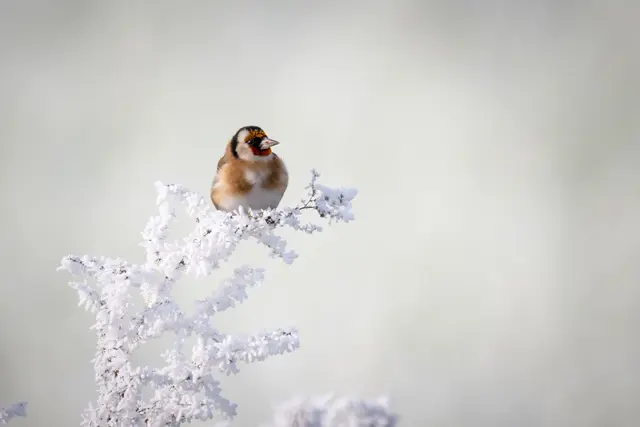 Foto: Elke Köbernick