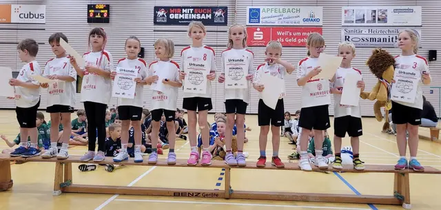 Die F-Jugend-Handballer des Turnerbundes Richen sammelten beim Spieltag in Steinheim wichtige Erfahrungen. | Foto: privat