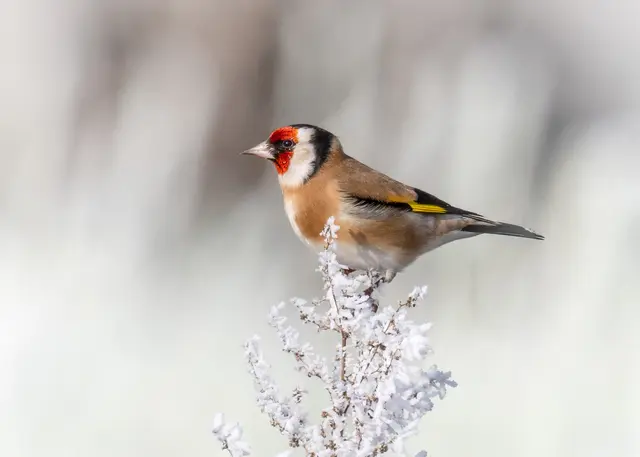 Foto: Elke Köbernick