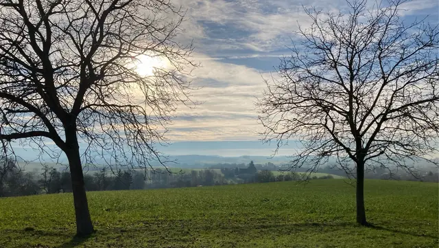 Foto: eigene Aufnahme