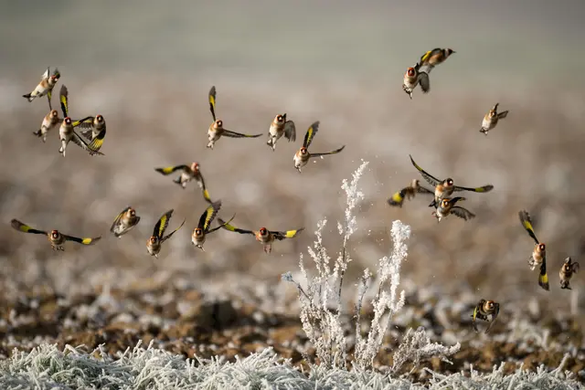 Foto: Elke Köbernick