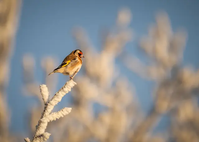 Foto: Elke Köbernick