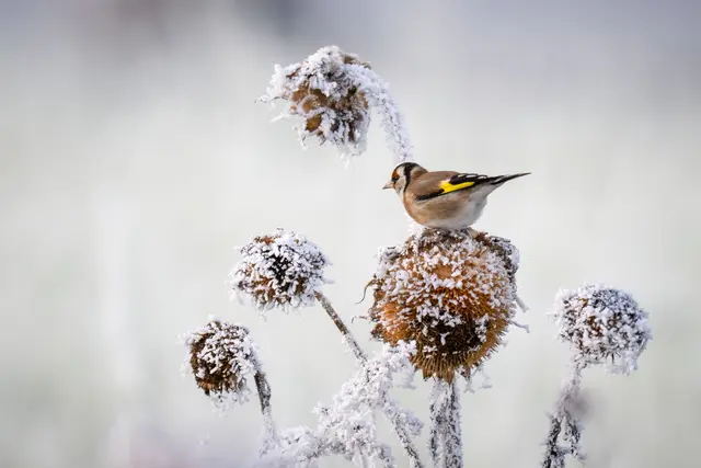 Foto: Elke Köbernick