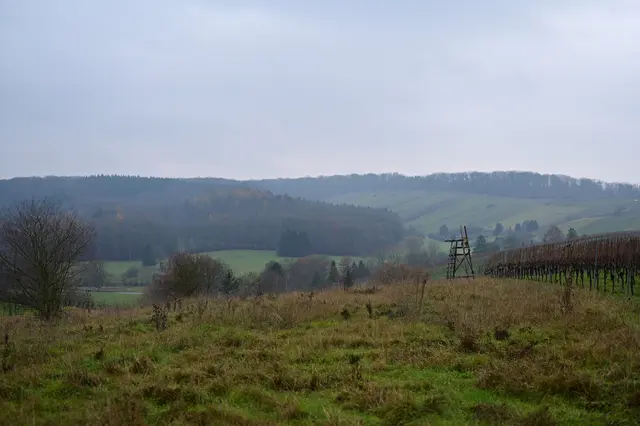 Der Blick ins Stadtseetal. | Foto: Michael Harmsen