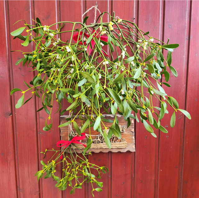 Foto: Hellbergschule Eppingen