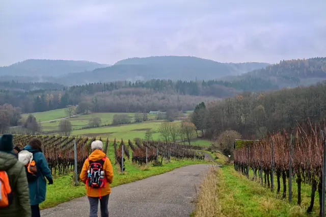 Am Jungenberg geht es steil bergab. | Foto: Michael Harmsen