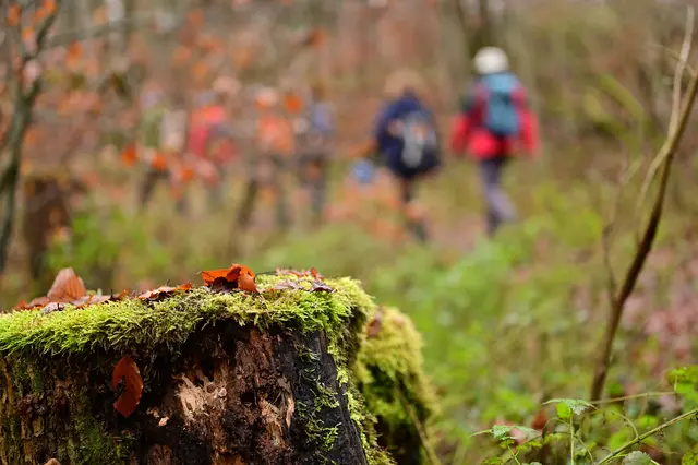 Da hat der Fotograf ein bisschen mit Blende und Schärfepunkt gespielt. | Foto: Michael Harmsen