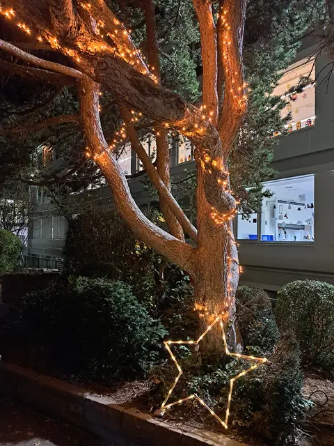 Winterzauber an der Wilhelm-Hauff-Schule | Foto: Catarina Cristiano, Wilhelm-Hauff-Schule.