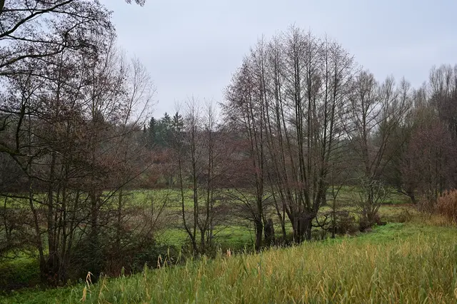 Im Stadtseetal. | Foto: Michael Harmsen