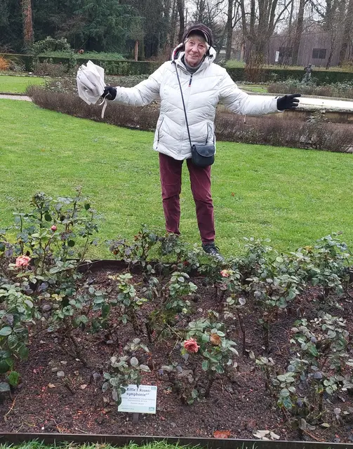 HInter den verblühten Rosem im romantischen Rosengarten steht noch eine "blühende" Rose. | Foto: Foto privat