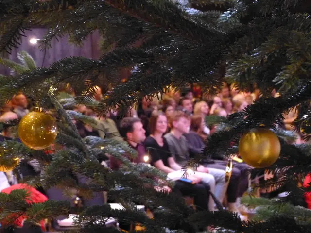 Adventskonzert am Hölderlin-Gymnasium Lauffen | Foto: Hölderlin-Gymnasium Lauffen