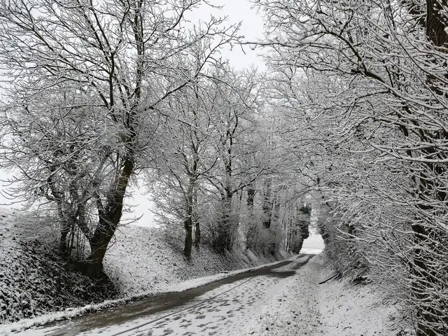 Zauberhafter Hohlweg im Winter | Foto: KHW