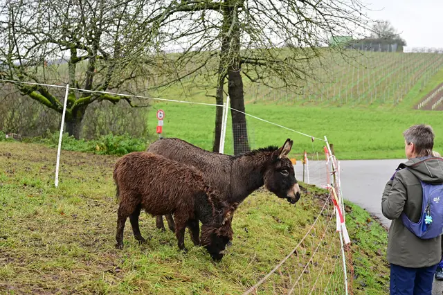 Wir waren alle schockverliebt. | Foto: Michael Harmsen