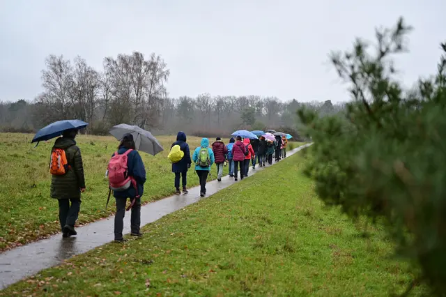 Die Wanderschlange kurz vor dem Ziel. | Foto: Michael Harmsen