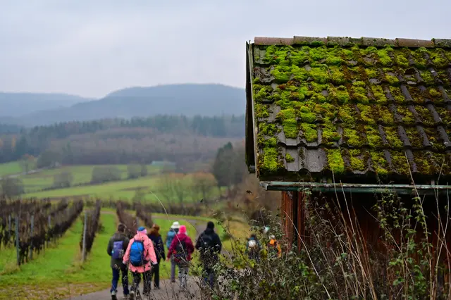 Downhill. | Foto: Michael Harmsen