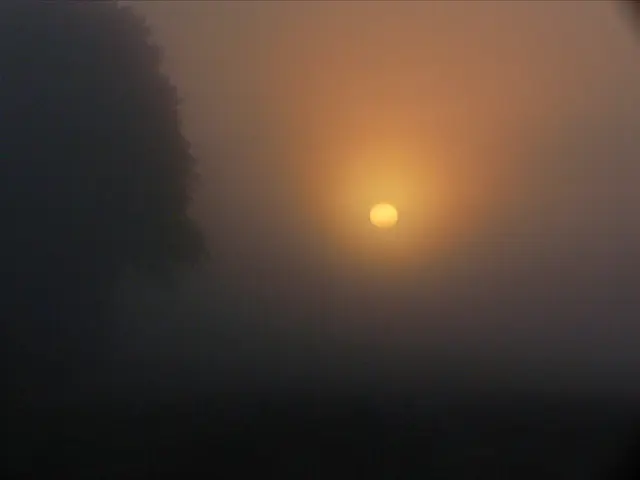 Der herbstliche Morgennebel wird durchdrungen | Foto: Konrad Schomerus