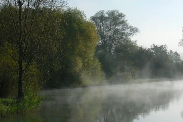 Von der Sonne Zauberhand angezogen steigt der Nebel zum himmel | Foto: Konrad Schomerus