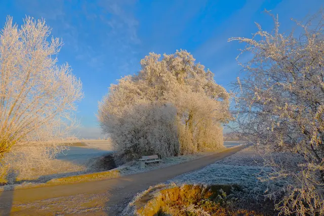 Endlich kann die Sonne mitten im kalten Winter ihre ganze Pracht entfalten | Foto: Konrad Schomerus