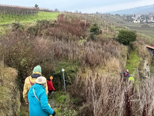 schmale Pfade | Foto: E. Rosendorf