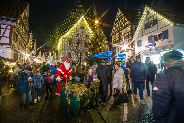 Foto: Dr. Qingwei Chen 