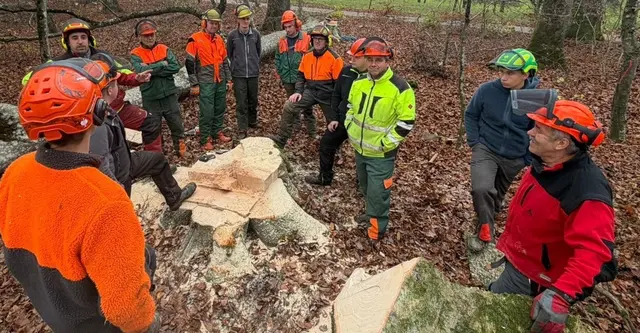 Stockbeurteilung nach erfolgreicher Fällung | Foto: Foto: privat