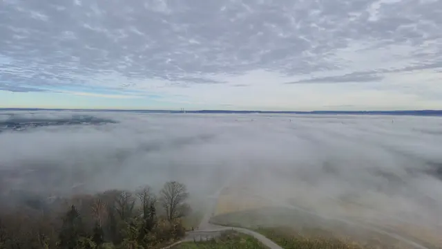 Foto: Karin Grimmel-Berggötz 