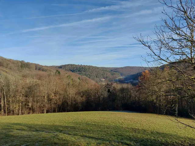 Rissbachtal bei Ailringen | Foto: Thomas Raisig