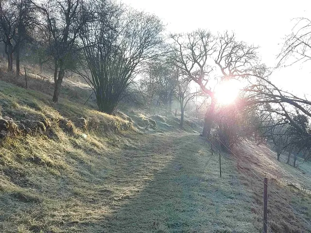 Zwischen Dörzbach und Hohebach unterwegs | Foto: Thomas Raisig
